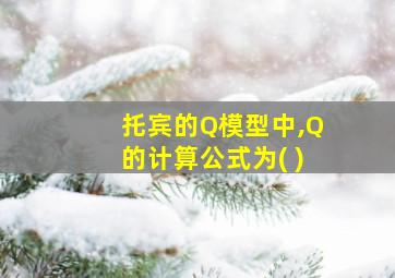 托宾的Q模型中,Q的计算公式为( )